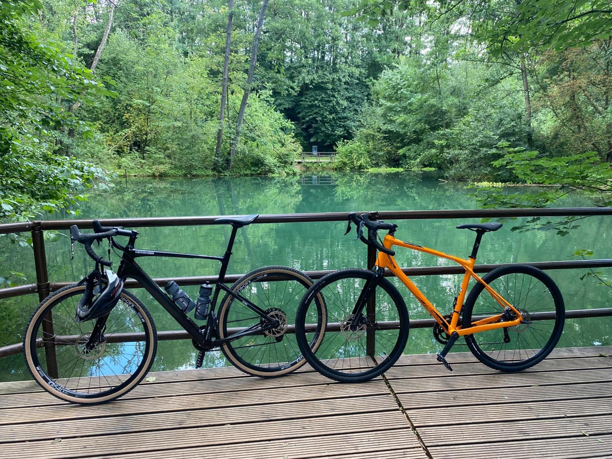 Ferienwohnung Sued - West Harz Mit Sauna E-Bikes Vorhanden! Horden am Harz Exterior foto